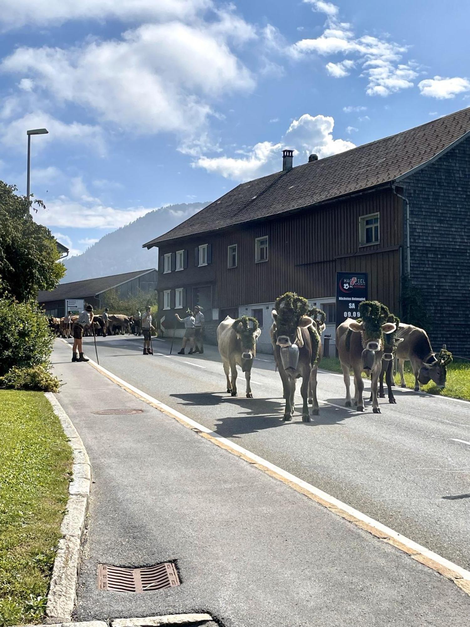 Zu Gast Bei Den Hagspiels Apartman Hittisau Kültér fotó